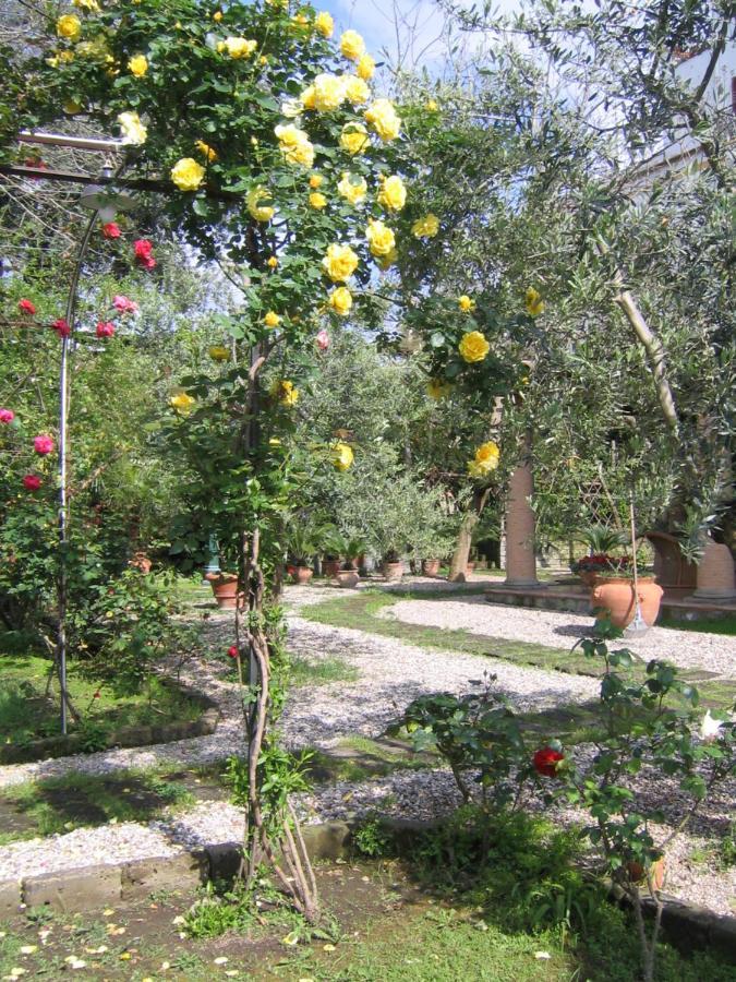 Suite Lidia B&B Sorrento Exterior foto