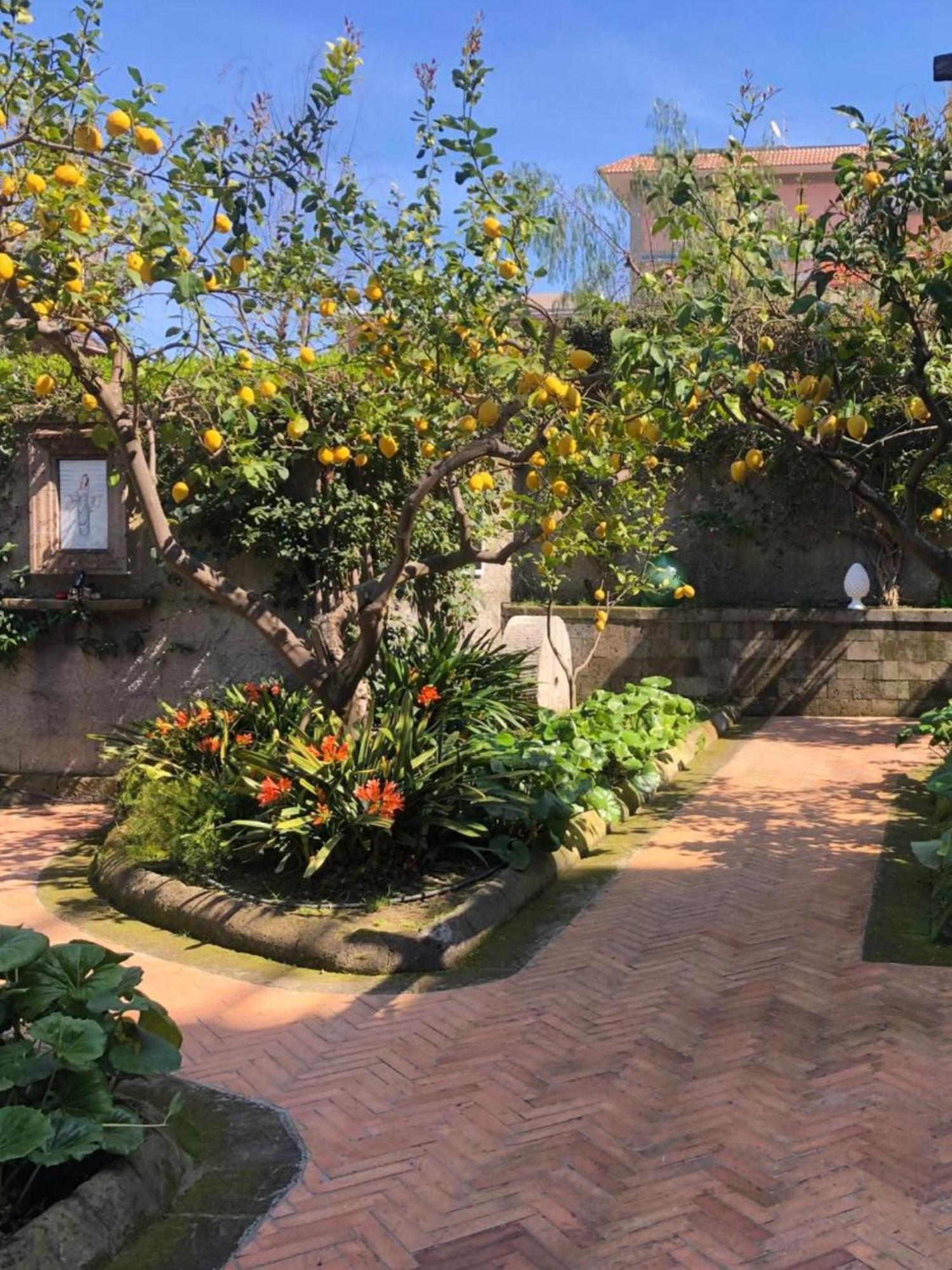 Suite Lidia B&B Sorrento Exterior foto