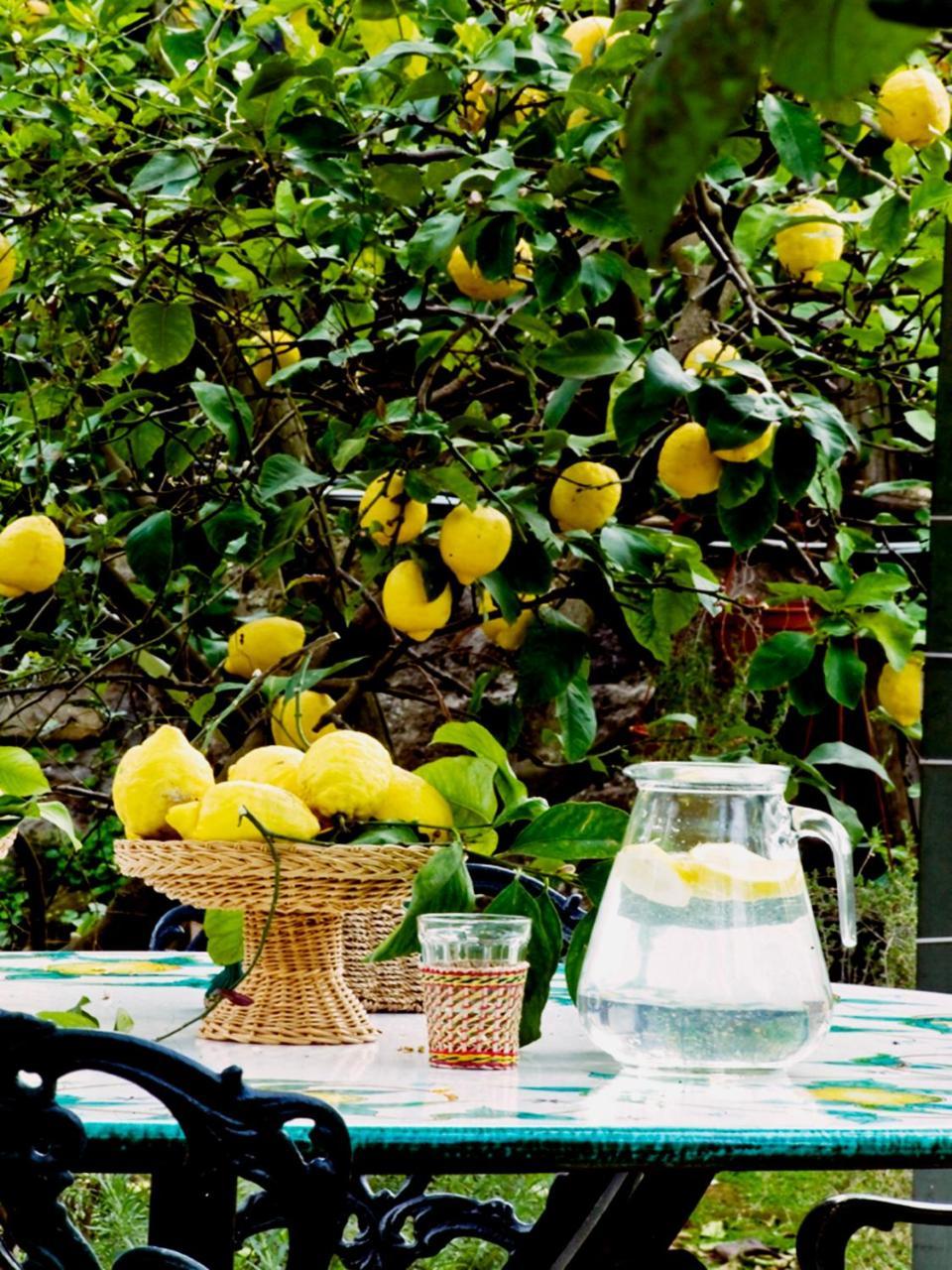Suite Lidia B&B Sorrento Exterior foto